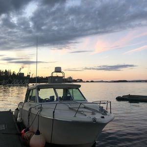 Meet your Posher, Kaia